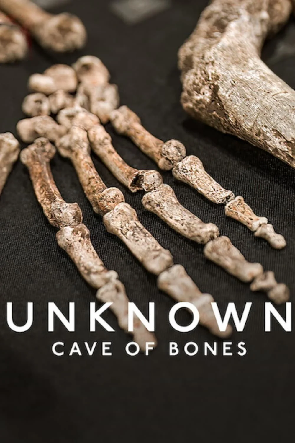 Ẩn Số Trái Đất: Hang Hài Cốt - Unknown: Cave of Bones