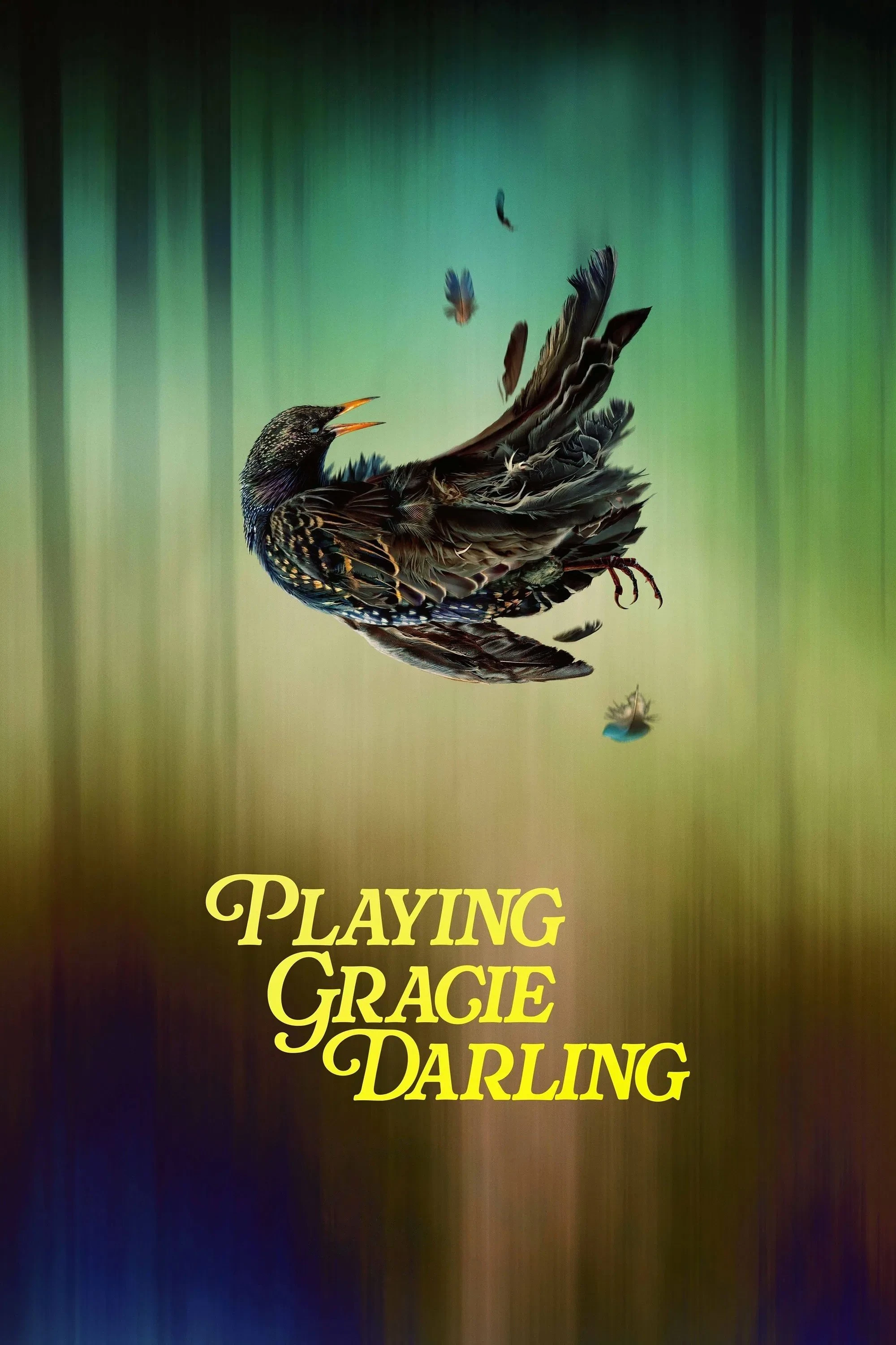 Bí Ẩn Trò Chơi Gracie Darling - Playing Gracie Darling