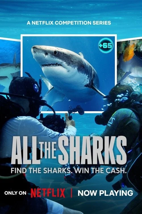 Đi Tìm Cá Mập - All The Sharks