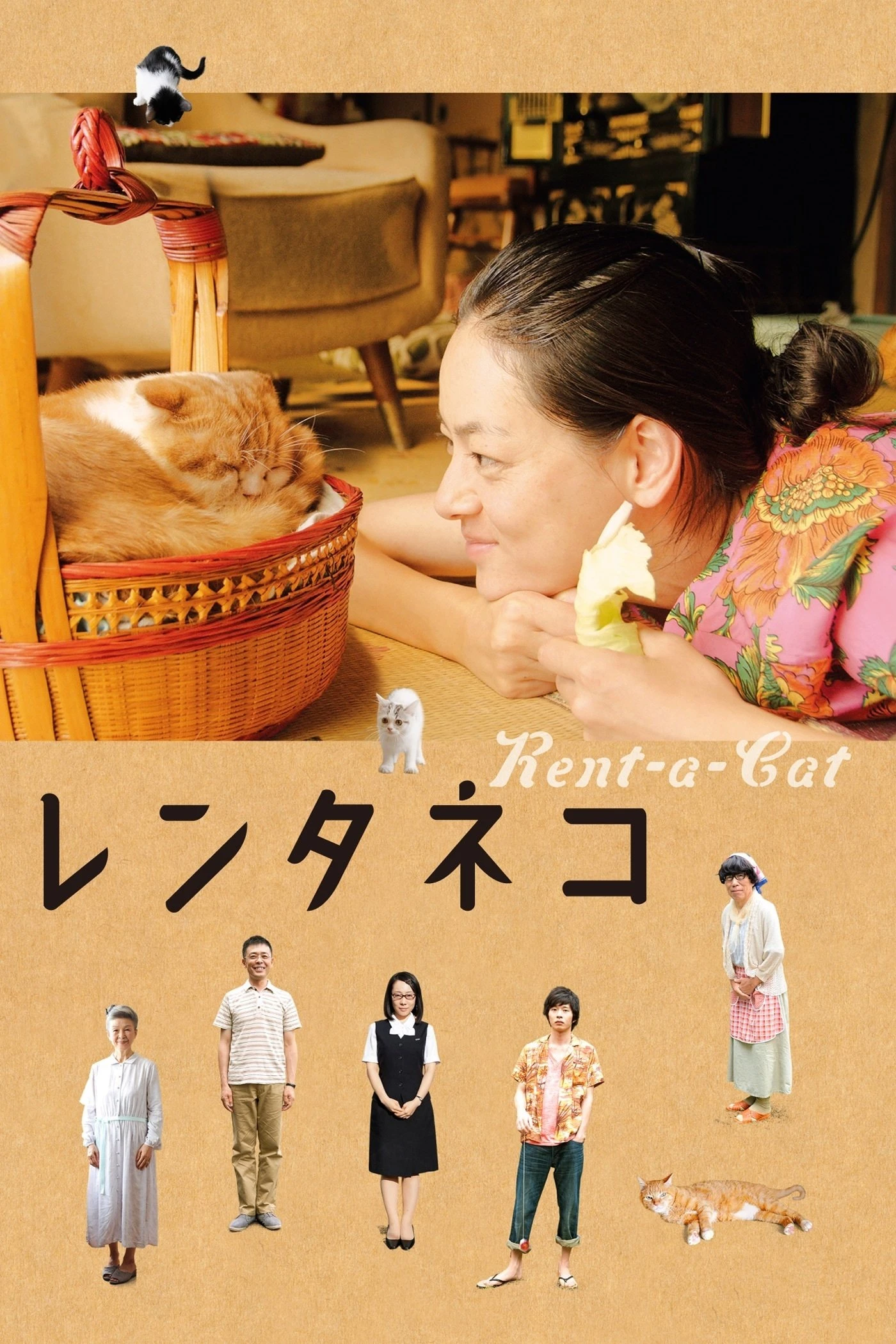 Dịch vụ cho thuê mèo - Rent-a-Cat