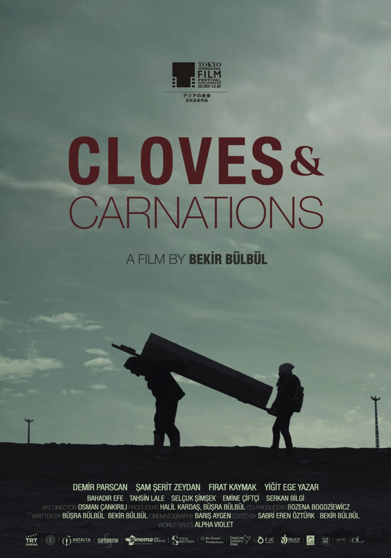 Đinh Hương và Cẩm Chướng - Cloves & Carnations