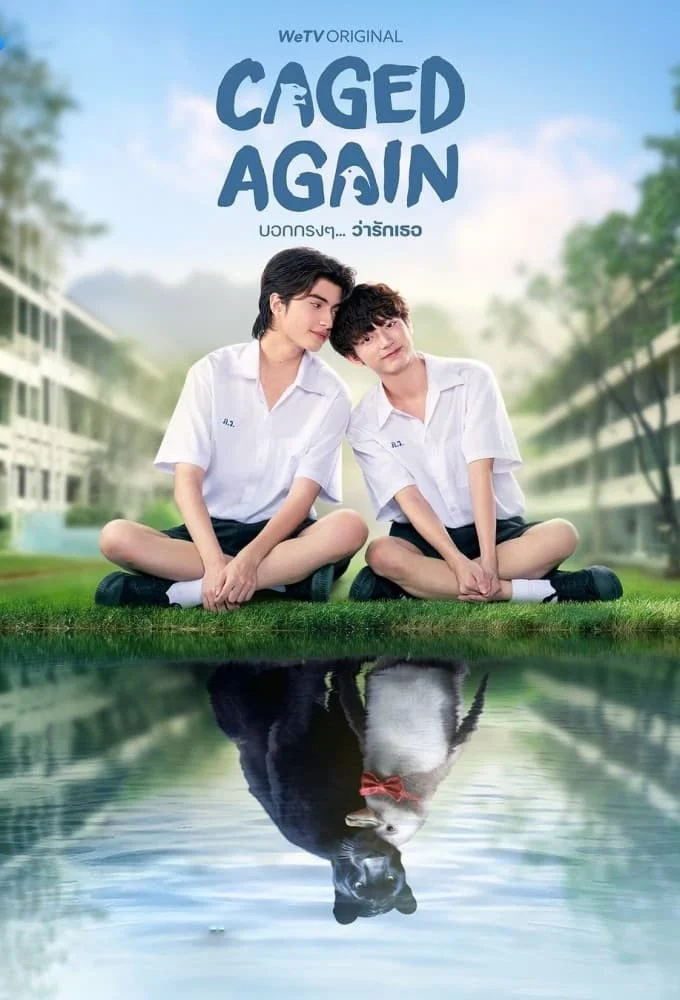 Dũng Cảm Nói Yêu Người - Caged Again