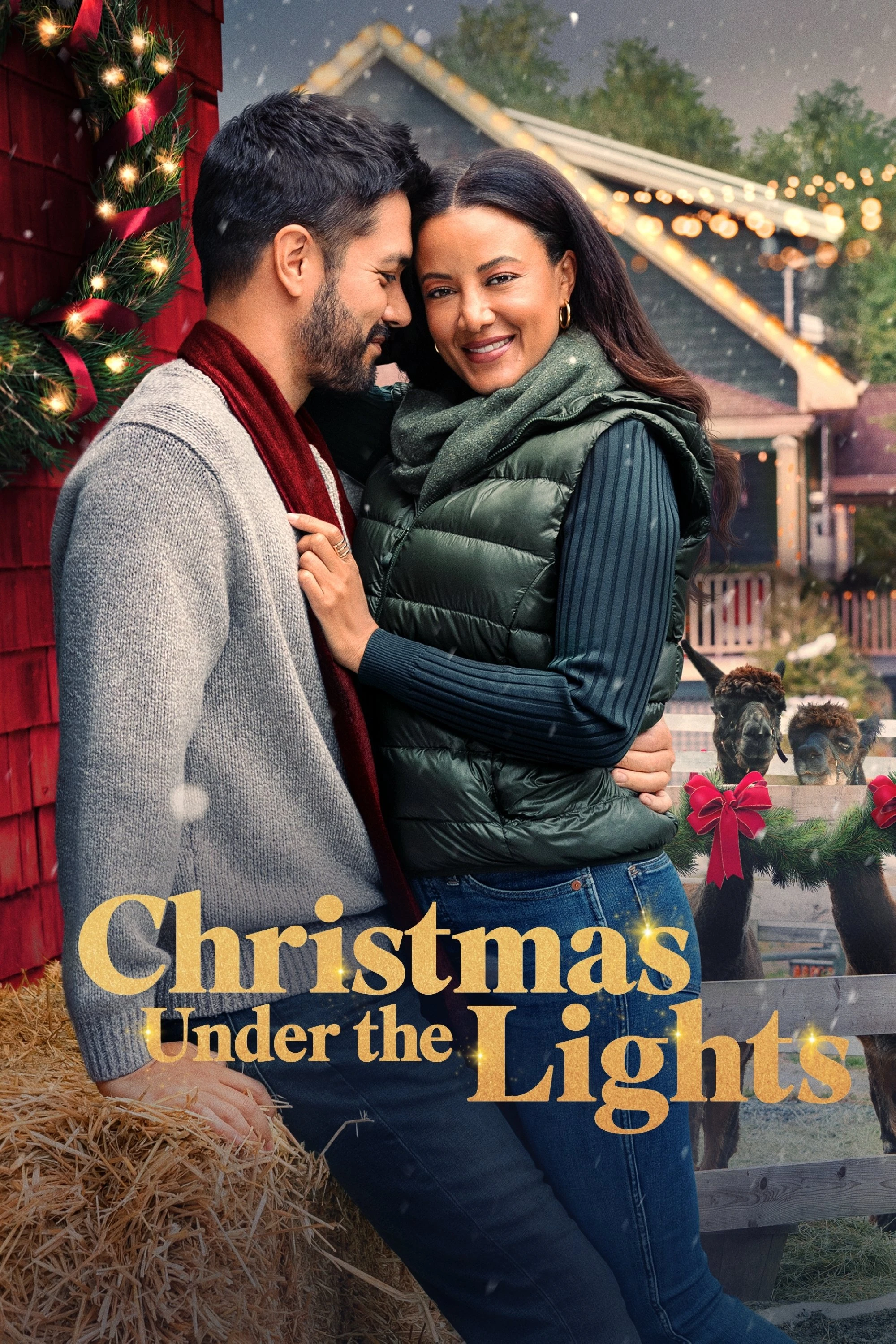Giáng Sinh Dưới Ánh Đèn - Christmas Under The Lights