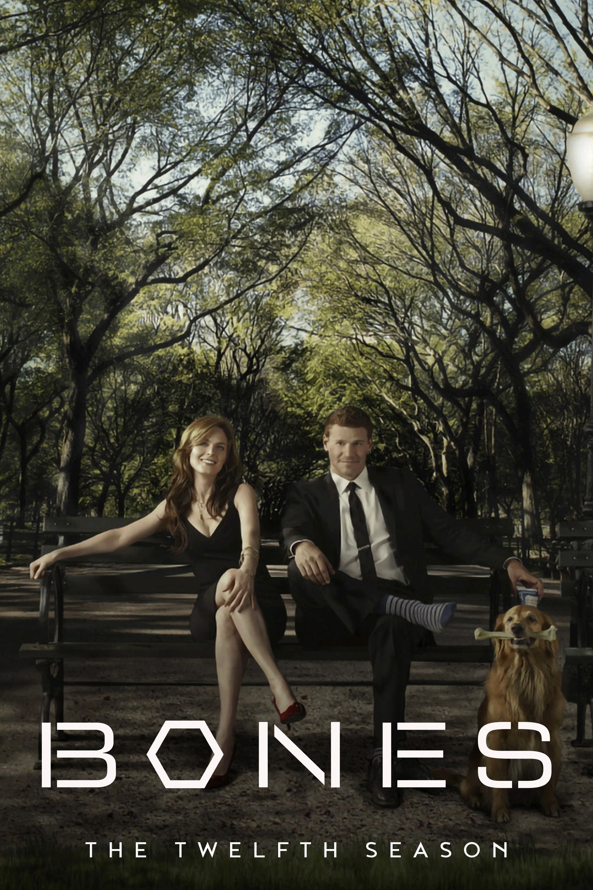 Hài Cốt (Phần 12) - Bones (Season 12)