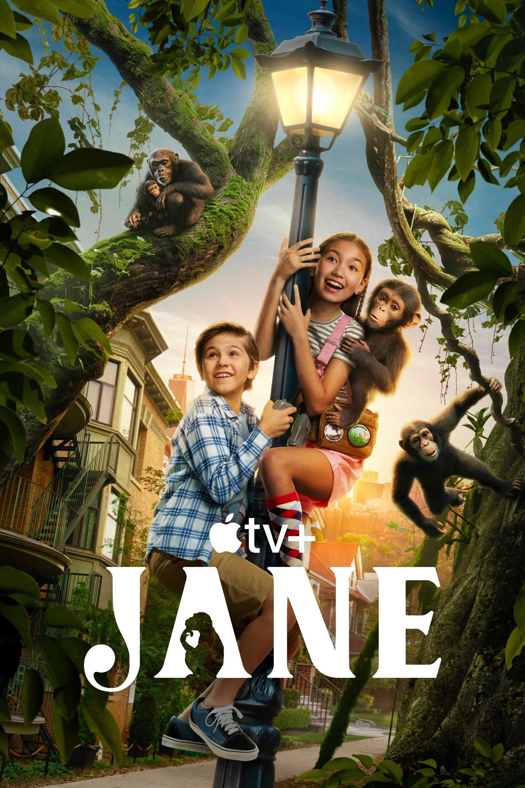 Jane (Phần 3) - Jane (Season 3)