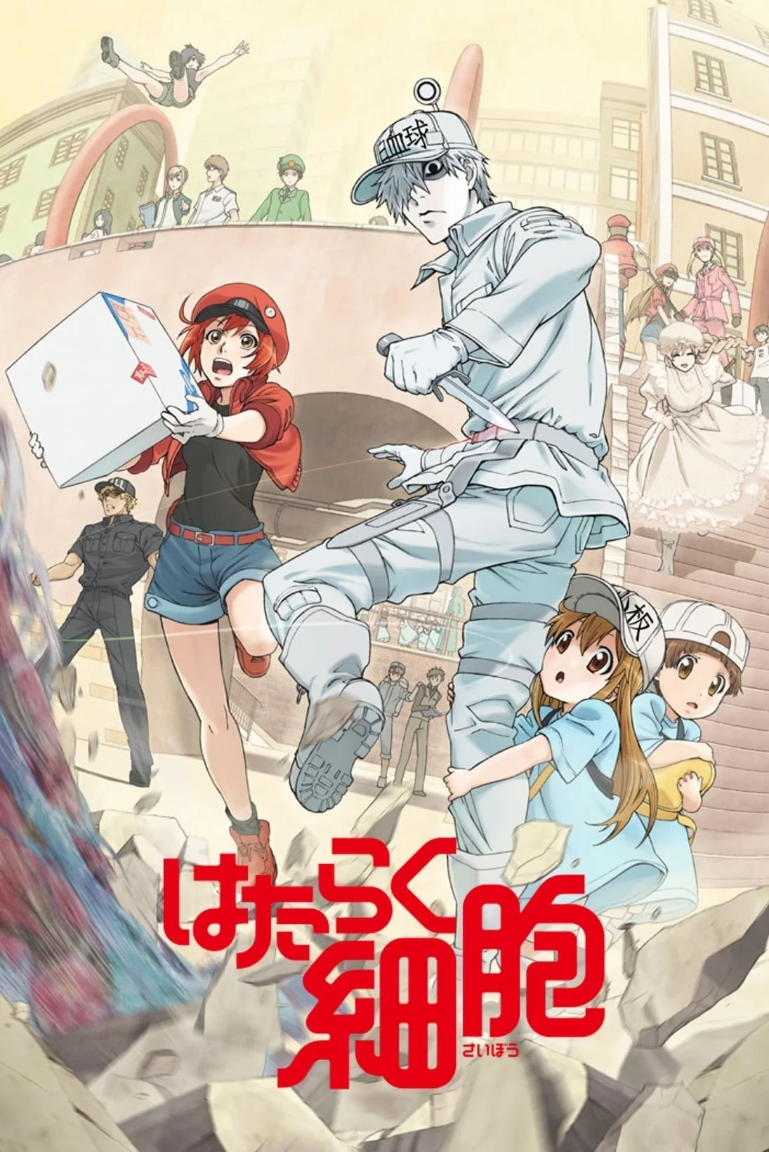 Khi Các Tế Bào Làm Việc (Phần 2) - Cells at Work! (Season 2)