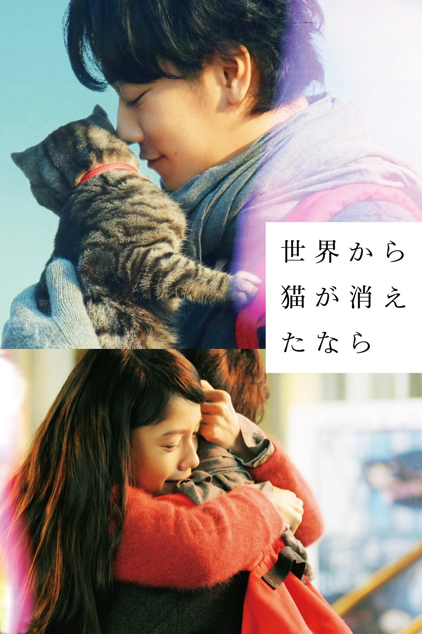 Nếu thế gian này không còn mèo - If Cats Disappeared from the World