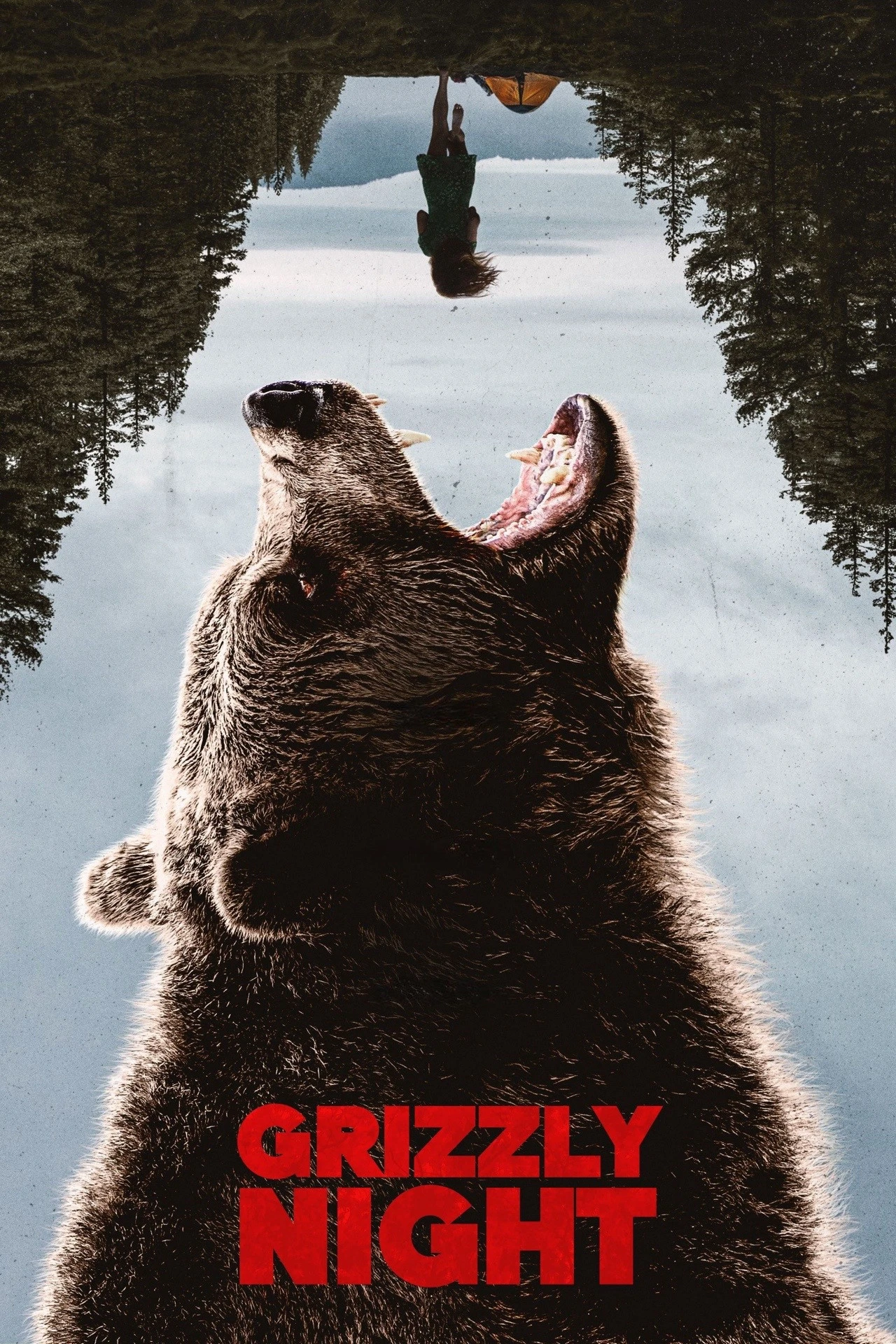 Thảm Kịch Gấu Nâu - Grizzly Night